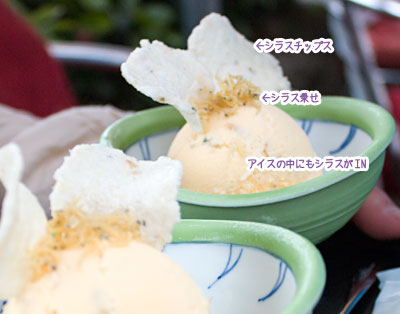 仁義なき江ノ島!_a0119470_257368.jpg