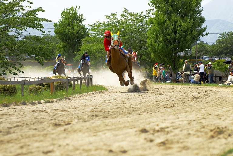 員弁の草競馬　レース2　20110515_a0050572_9115116.jpg