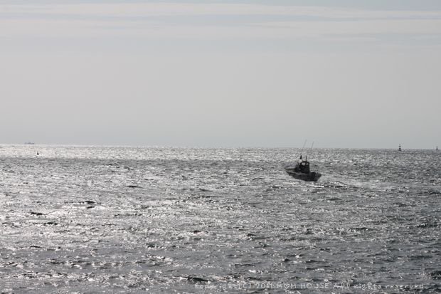 c0139375_1235582.jpg