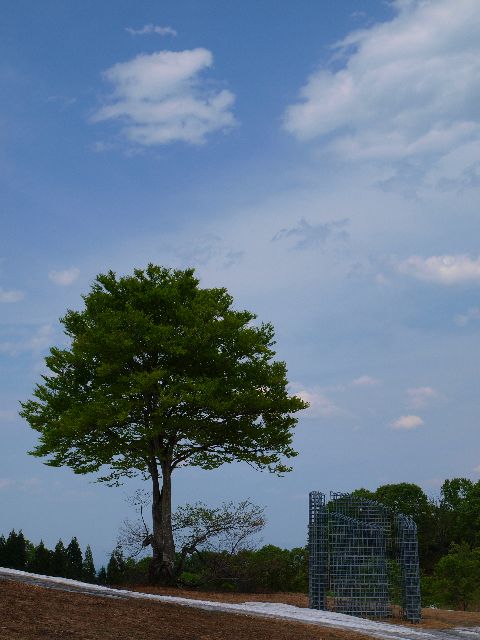 a0025576_1573140.jpg