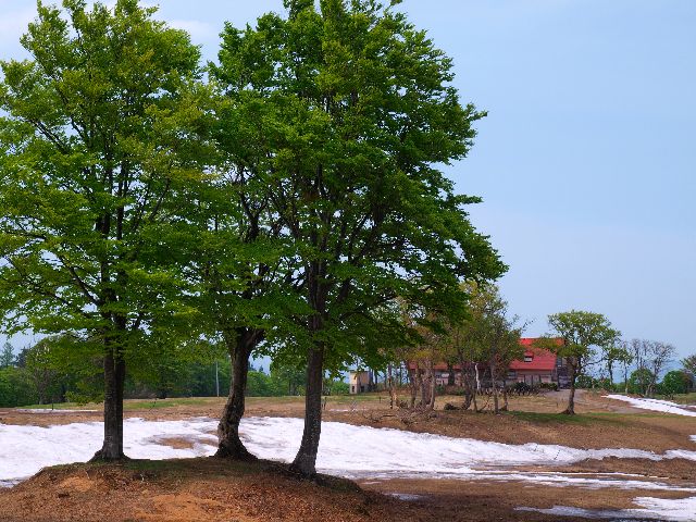 a0025576_2052617.jpg