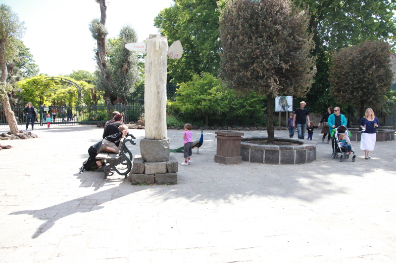 c0187779_734624.jpg