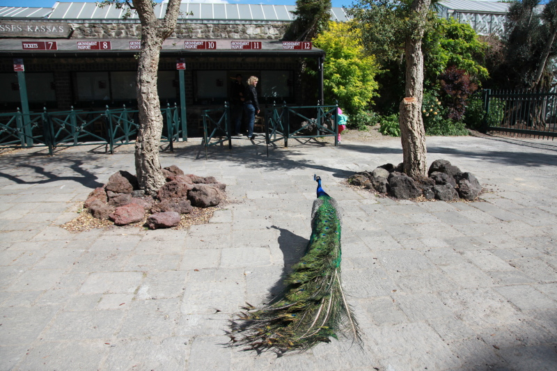 c0187779_762090.jpg
