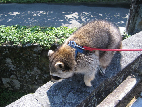 秋月からお客様。_d0195183_0254993.jpg
