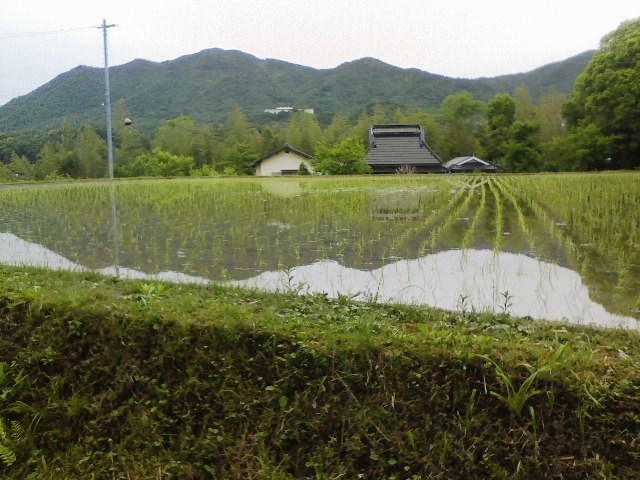 農家食堂が休みゆえ_c0061686_20585578.jpg