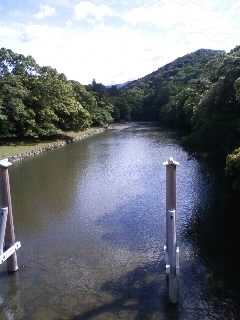 思わぬプレゼント_c0204289_19553541.jpg