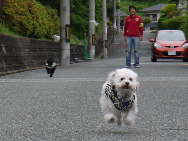 b0190092_19565930.jpg
