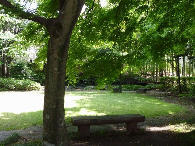 e0196993_7698.jpg