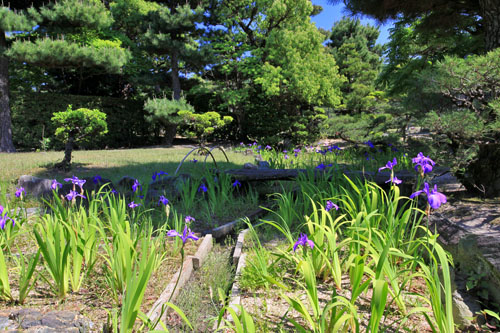 養翠園庭園(和歌山市)_a0135396_1692661.jpg