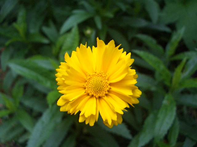 e0111299_1014063.jpg