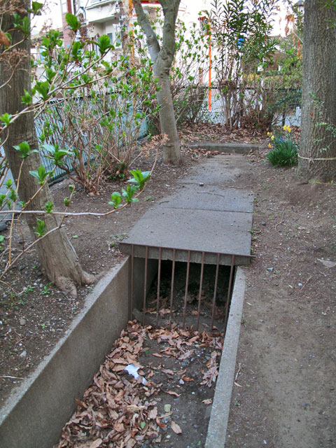 山王窪の築樋と、小金井分水の空堀をたどる_c0163001_08486.jpg