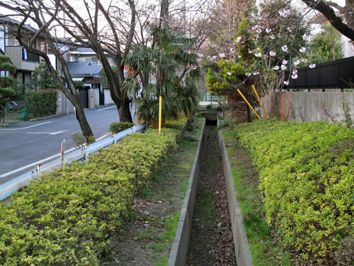 c0163001_085655.jpg