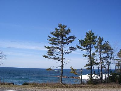 a0208804_1628383.jpg