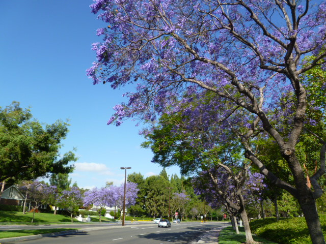 a0144811_7472975.jpg