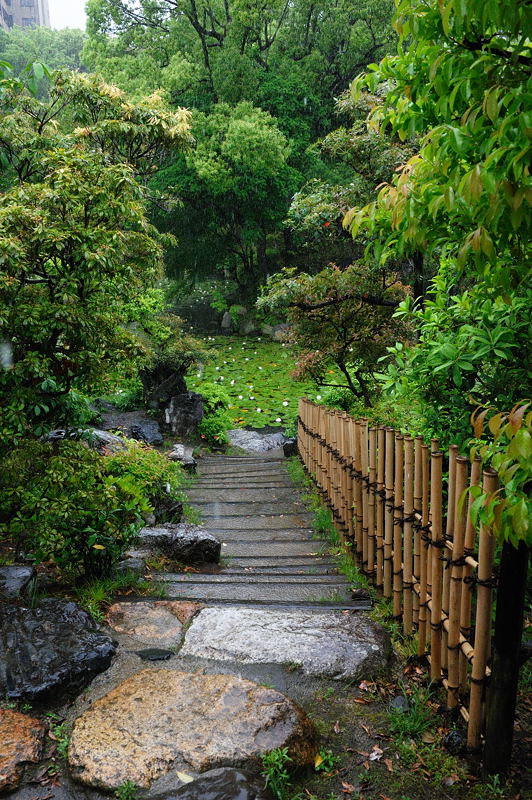 雨の渉成園　其の二_f0032011_1853475.jpg