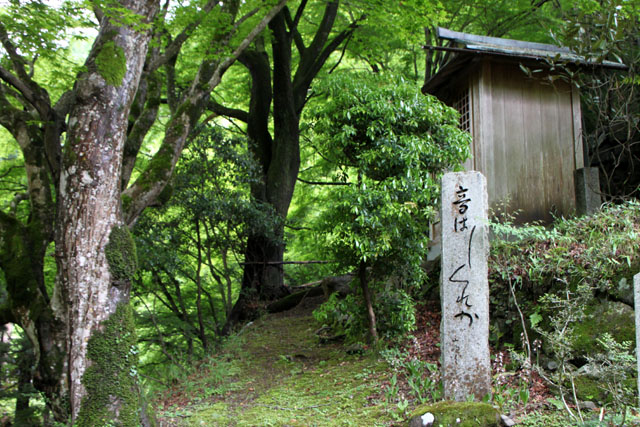 杉坂 地蔵院_e0048413_21142049.jpg