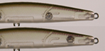 a0153216_13271858.jpg