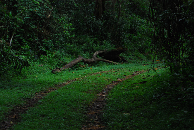 f0213817_76196.jpg