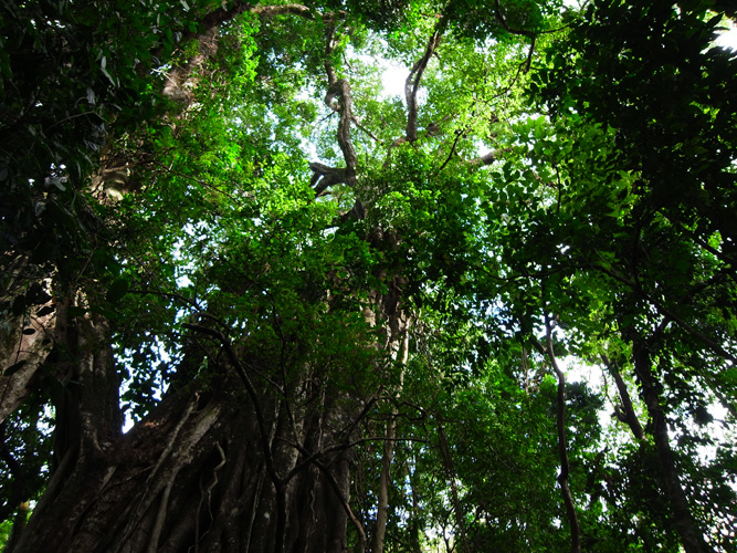f0213817_76531.jpg