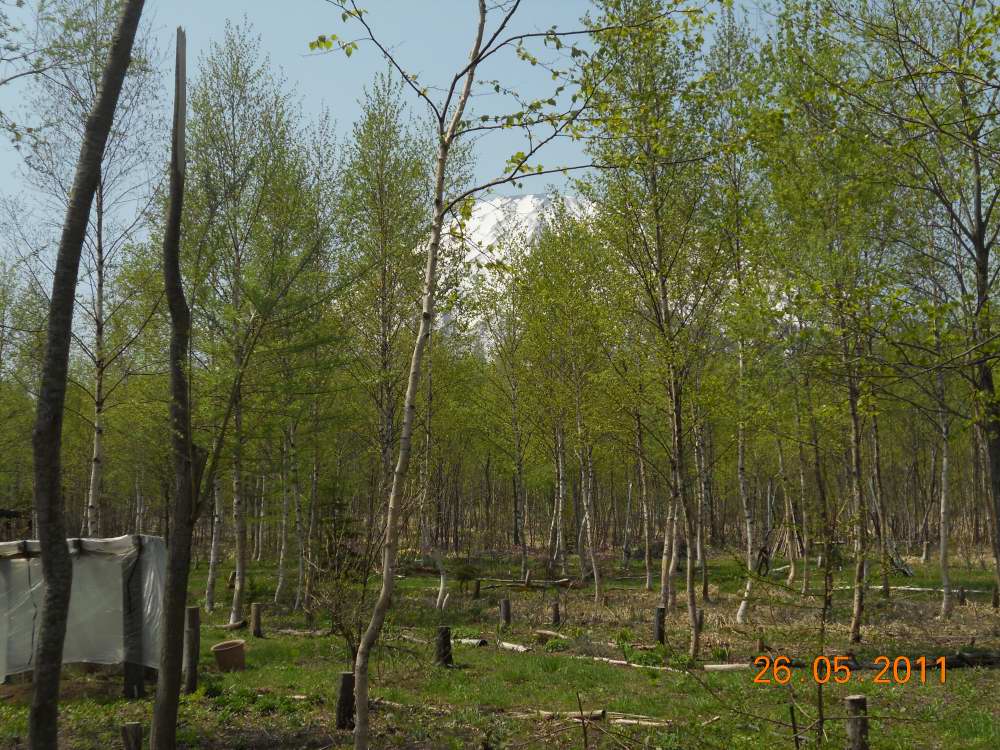 d0143719_9174474.jpg