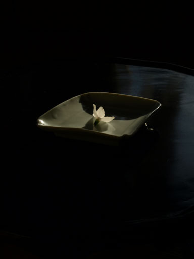 20110523.jpg