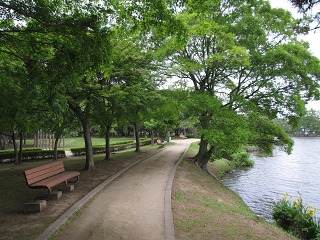 e0202031_9572138.jpg