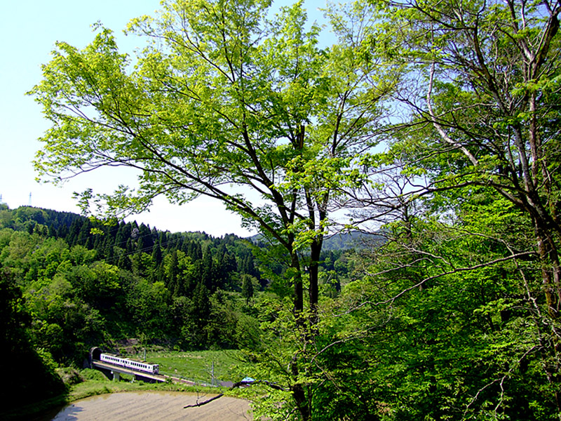 ほくほく大島駅俯瞰_a0206532_17562820.jpg