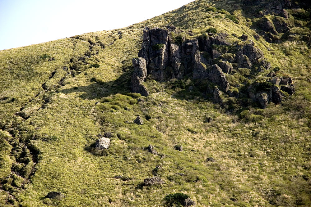 d0136836_6355.jpg