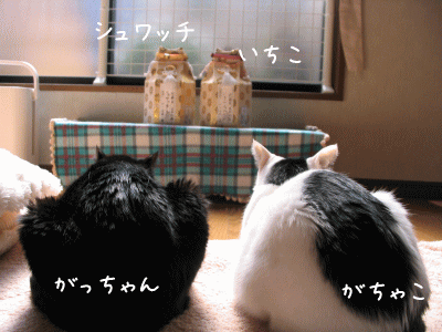 a0166338_13233488.gif