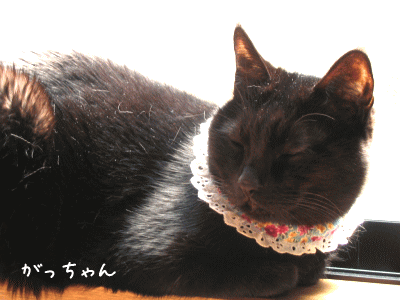 a0166338_13274286.gif