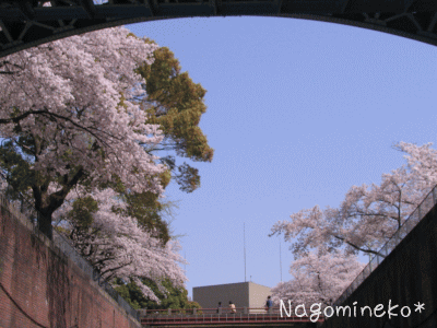 a0166338_13345686.gif