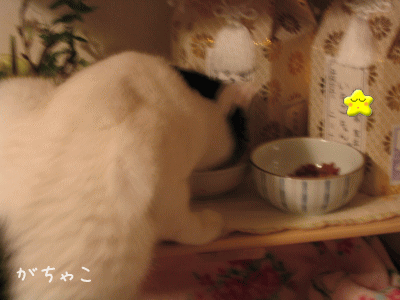 a0166338_1353298.gif