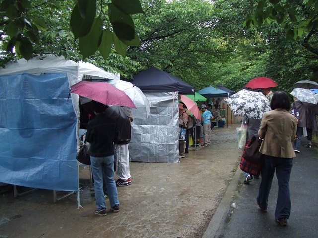 e0046748_17806.jpg