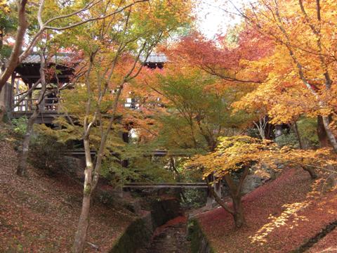 紅葉の東福寺へ_d0049152_324366.jpg