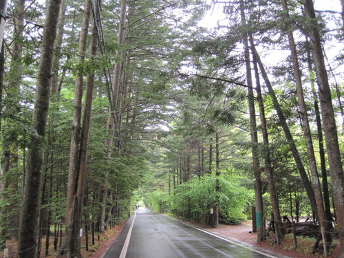 千曲川ライナーで、帰ってきました。_f0236260_1432712.jpg