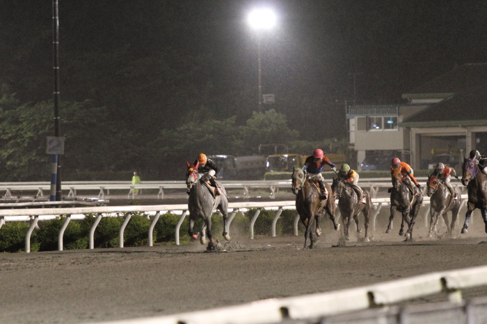 2011年5月27日（金） 高知競馬 10R 土佐皿鉢料理特別 C1-1選抜馬_a0077663_7192365.jpg