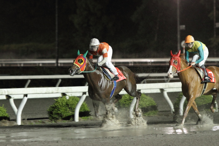 2011年5月27日（金） 高知競馬 10R 土佐皿鉢料理特別 C1-1選抜馬_a0077663_719260.jpg