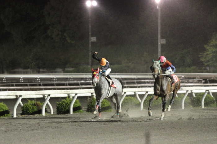 2011年5月27日（金） 高知競馬 10R 土佐皿鉢料理特別 C1-1選抜馬_a0077663_7193161.jpg