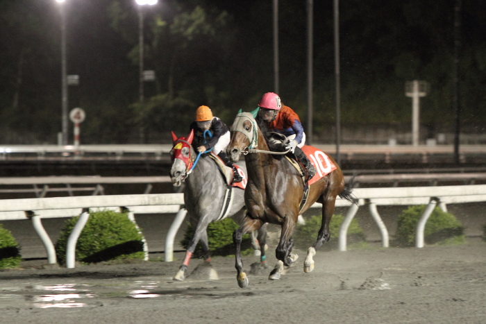 2011年5月27日（金） 高知競馬 10R 土佐皿鉢料理特別 C1-1選抜馬_a0077663_7193888.jpg