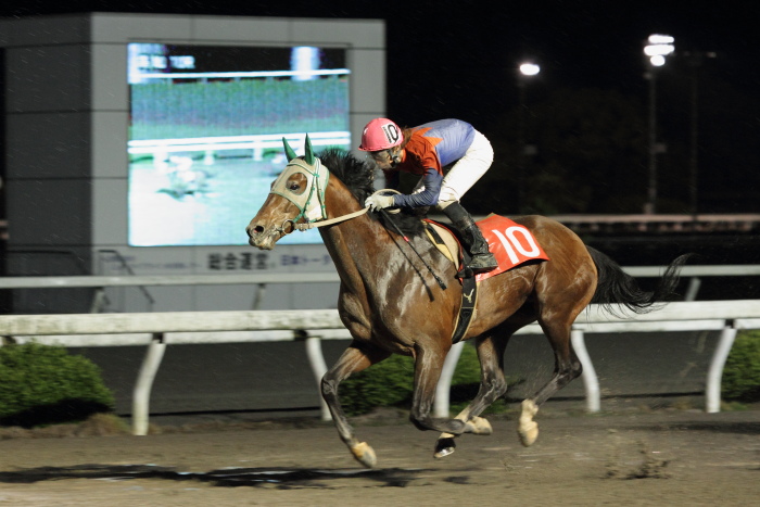 2011年5月27日（金） 高知競馬 10R 土佐皿鉢料理特別 C1-1選抜馬_a0077663_7194832.jpg