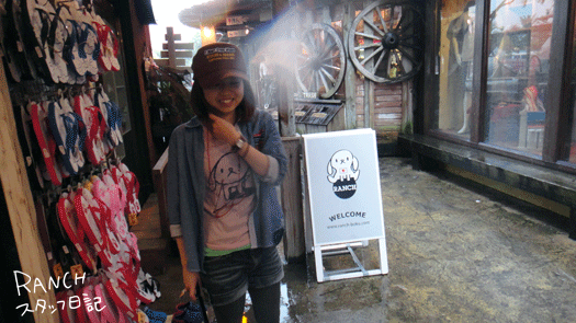 d0181266_17311082.gif