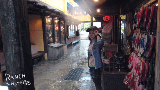 d0181266_17313713.gif