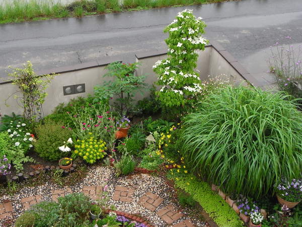 b0194267_16194610.jpg