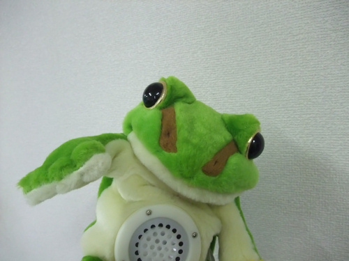 コケロミン_c0173978_23313488.jpg