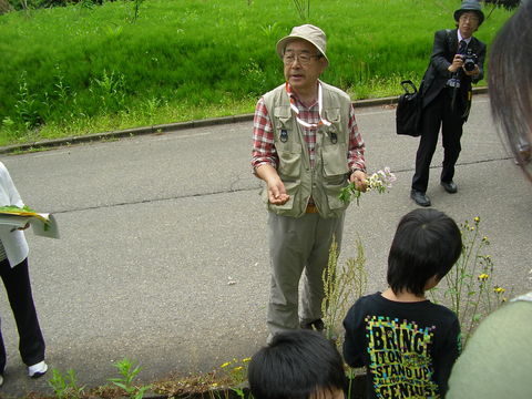 摘み草御膳を楽しむ会_d0182179_21462133.jpg
