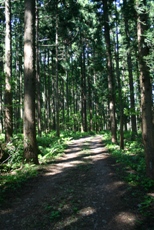 c0057781_13565545.jpg