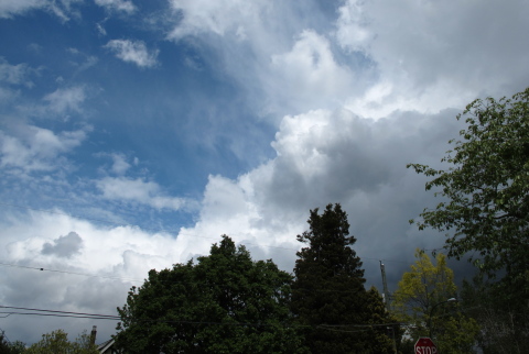 d0129786_1213144.jpg