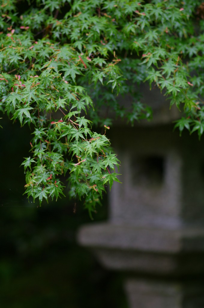 祖国日本　七つの社会的大罪_c0153888_913613.jpg