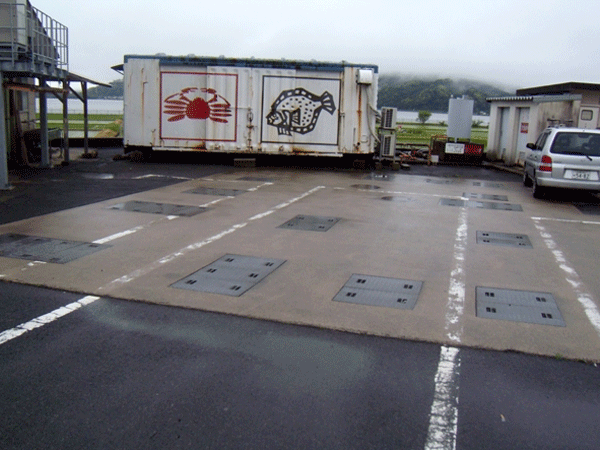 b0159611_0544436.gif