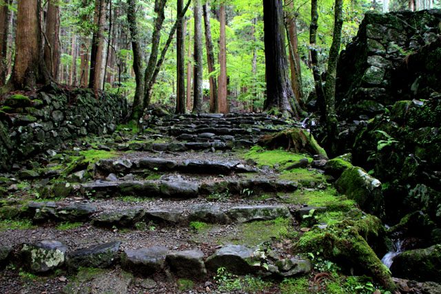 栂ノ尾 高山寺 青もみじ_e0048413_12271469.jpg